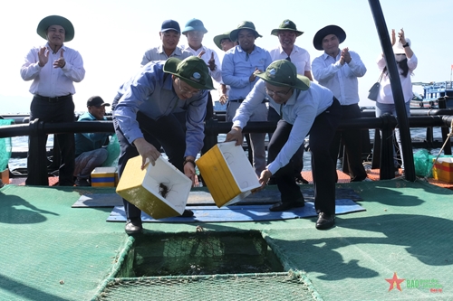 Chương trình thí điểm nuôi biển công nghệ cao tại vùng biển hở tỉnh Khánh Hòa